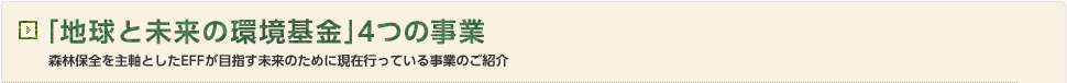 「地球と未来の環境基金」4つの事業 森林保全を主軸としたEFFが目指す未来のために行っている事業の紹介