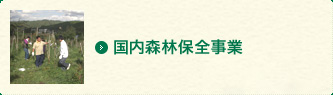 国内森林保全事業