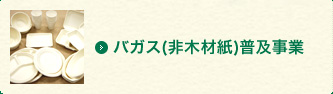 バガス(非木材紙)普及事業