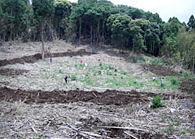 千葉県 上総亀山の活動報告写真