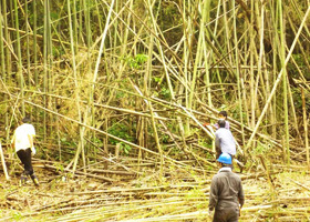 千葉県 上総亀山の活動報告写真