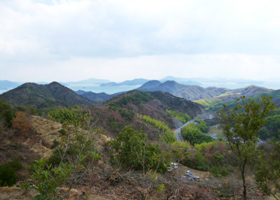 広島県 竹原市の活動報告写真