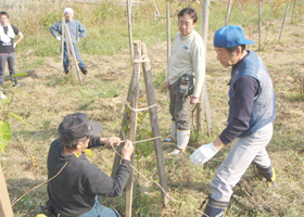 岩手県 西和賀町の活動報告写真