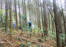 奈良県 吉野町の活動報告写真