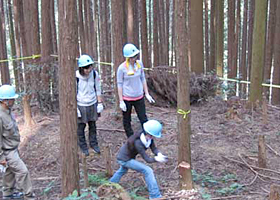 奈良県 吉野町の活動報告写真