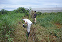 沖縄県 恩納村2007年活動報告写真