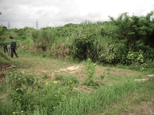 沖縄県 恩納村2008年活動報告写真