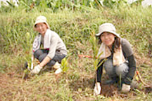 沖縄県 恩納村2008年活動報告写真