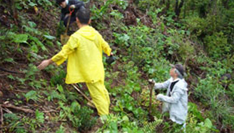 沖縄県 恩納村2009年活動報告写真