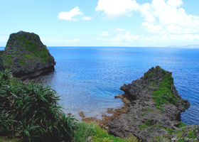 沖縄県 恩納村の活動報告写真