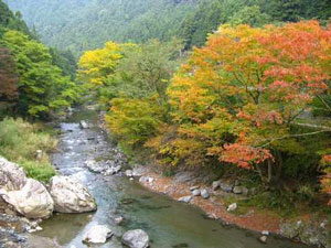 奈良県 吉野町の活動報告写真