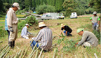 棚田づくりプロジェクト活動報告写真5